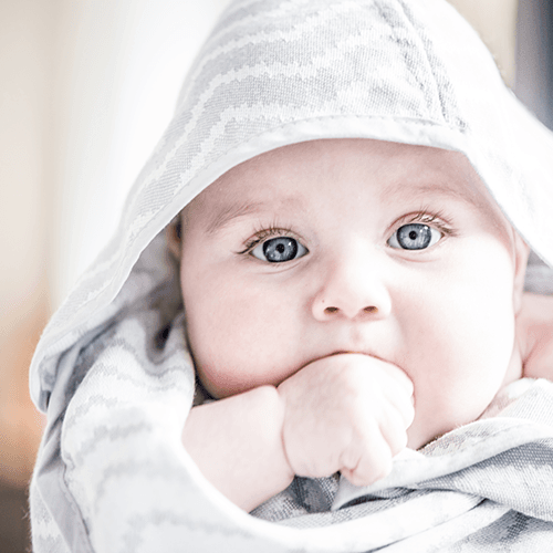 Blenker Hooded Towel Silver Grey